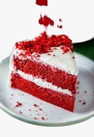 Cake Slice